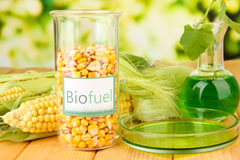 Barley biofuel availability